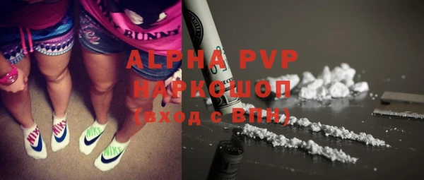 шишки Вяземский