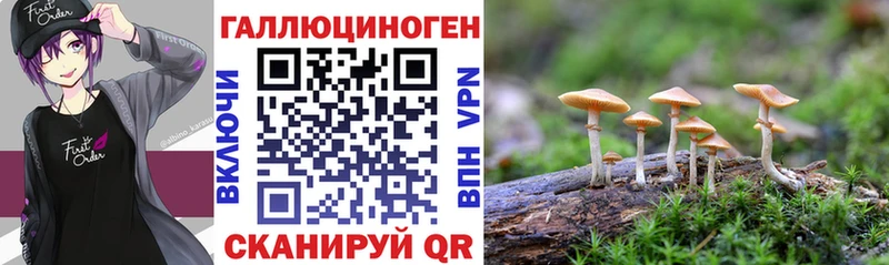 Псилоцибиновые грибы GOLDEN TEACHER  Братск 